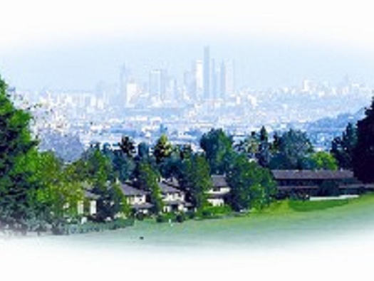 City View City View