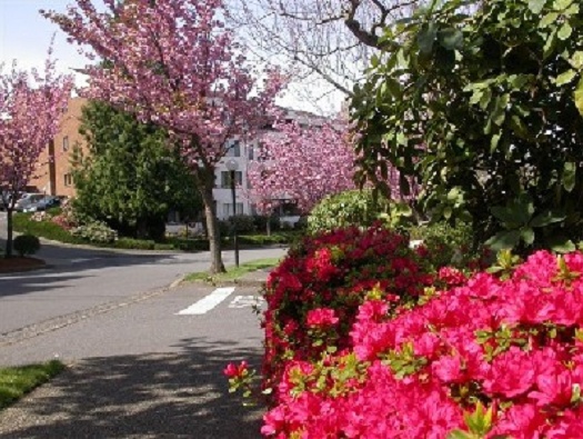 Glen Acres Drive Glen Acres Drive