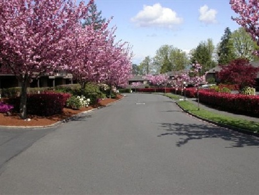 Glen Acres Drive Glen Acres Drive