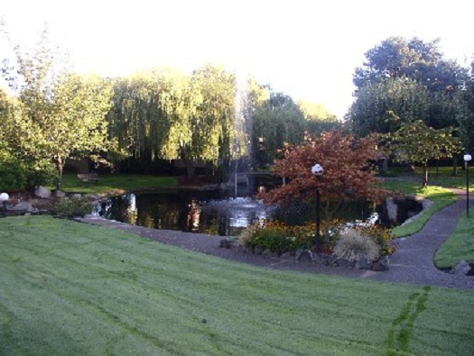 Large Pond Large Pond