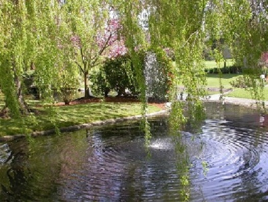 Large Pond