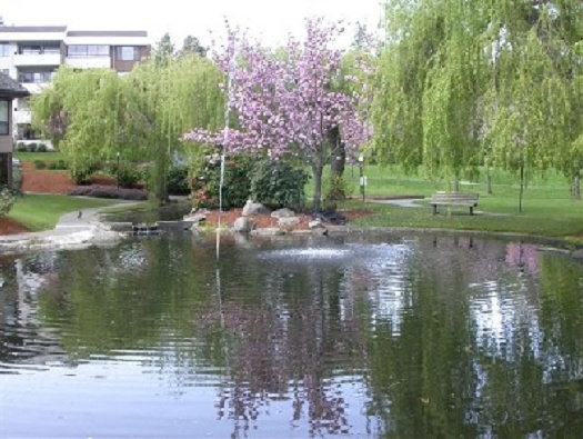 Large Pond